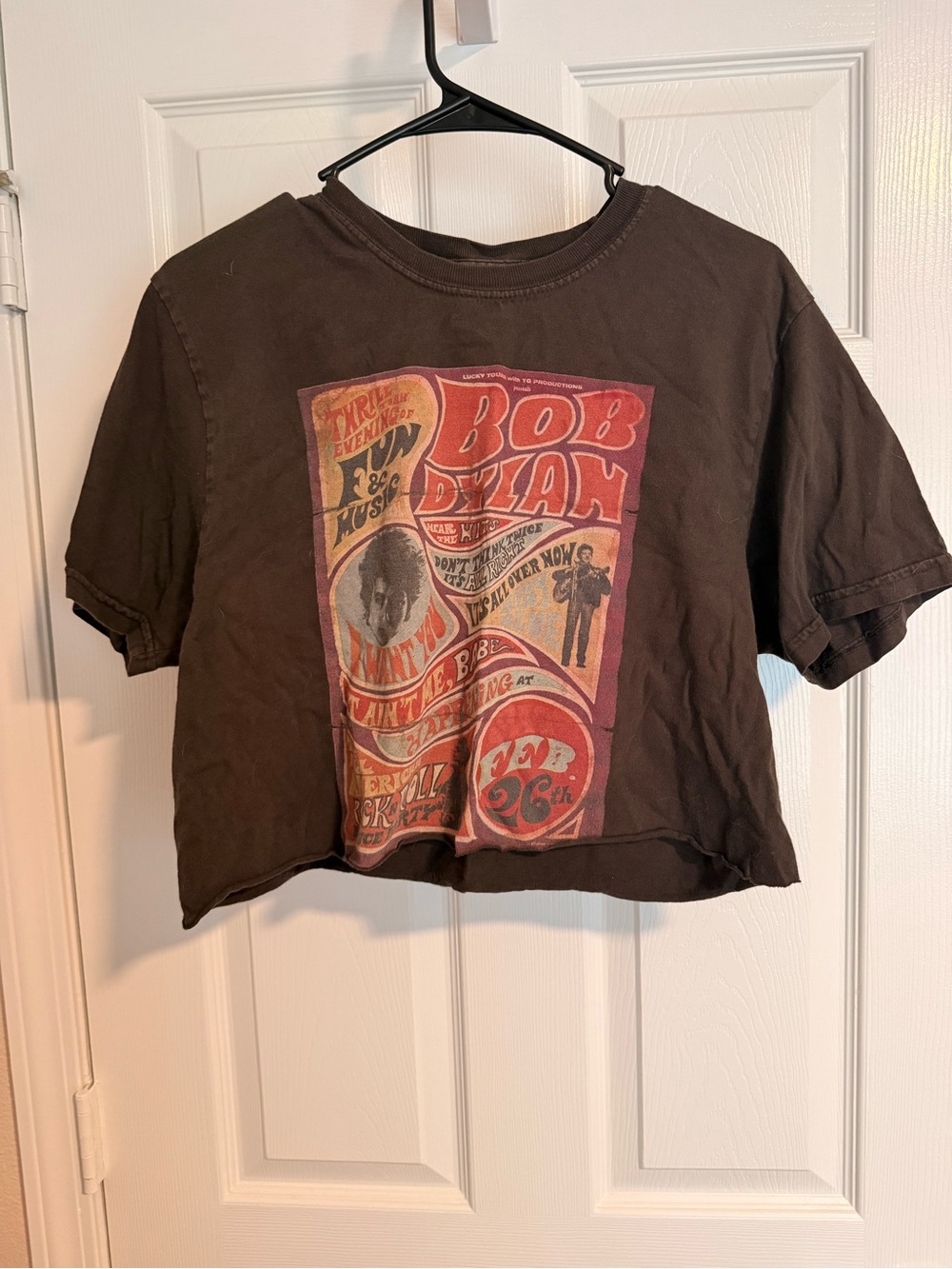 Bob Dylan Graphic Crop Tee - brownish gray